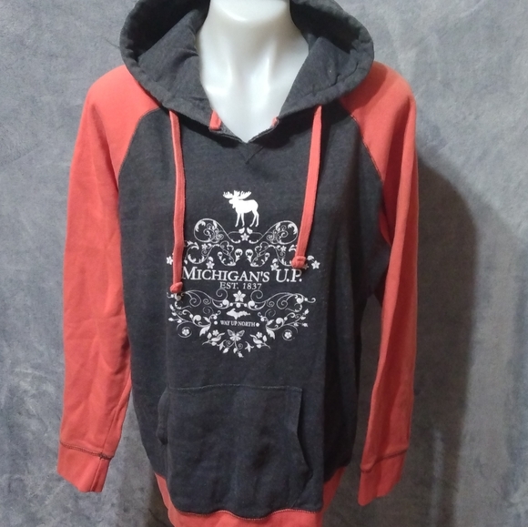 Hoodie - Picture 1 of 3